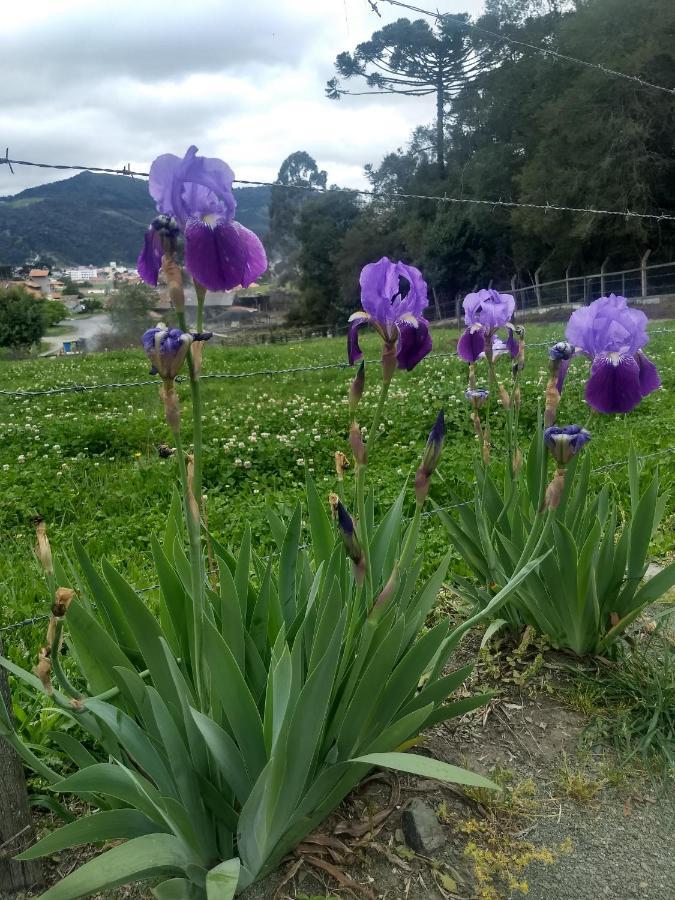 Chalés Manacá da Serra Urubici Extérieur photo